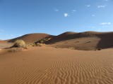 Namibia Hochzeit, Reise, Bilder, Fotos - img_2288.jpg